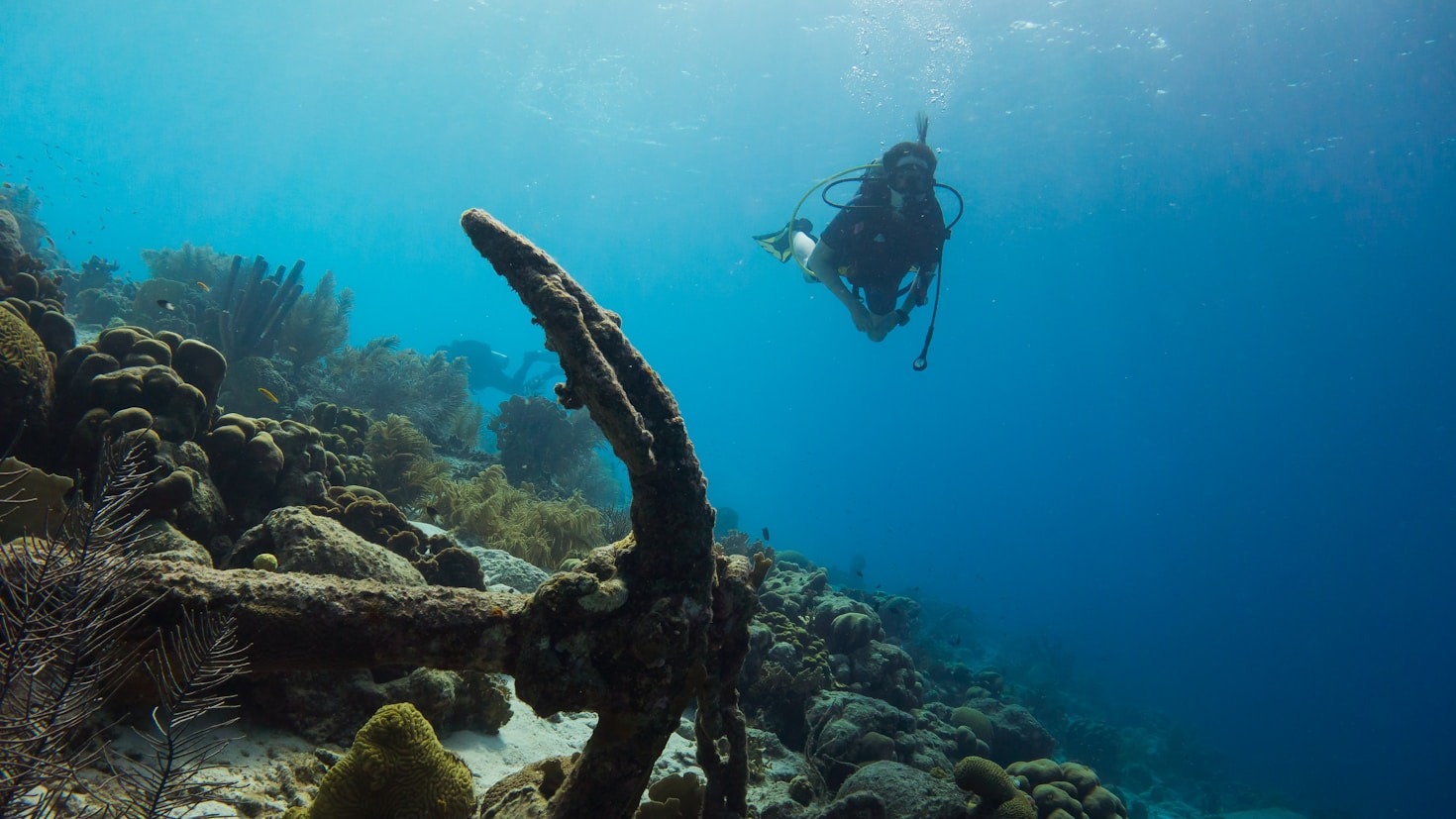 Le Migliori Destinazioni per Immersioni in Italia