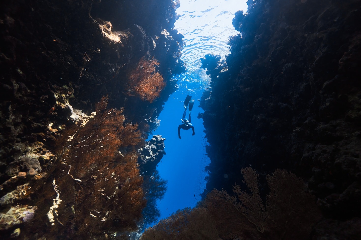 Attrezzatura Essenziale per un’Immersione Sicura