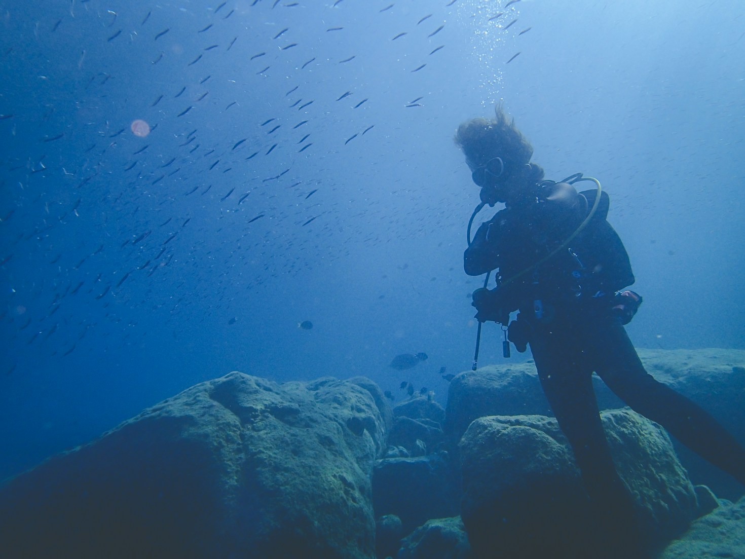 Come Scegliere il Corso di Immersione Giusto per Te